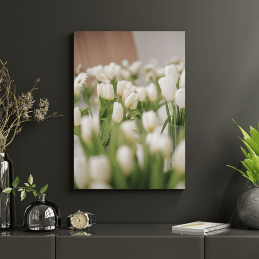 Whispers of White Tulips HD Acrylic Photo Print