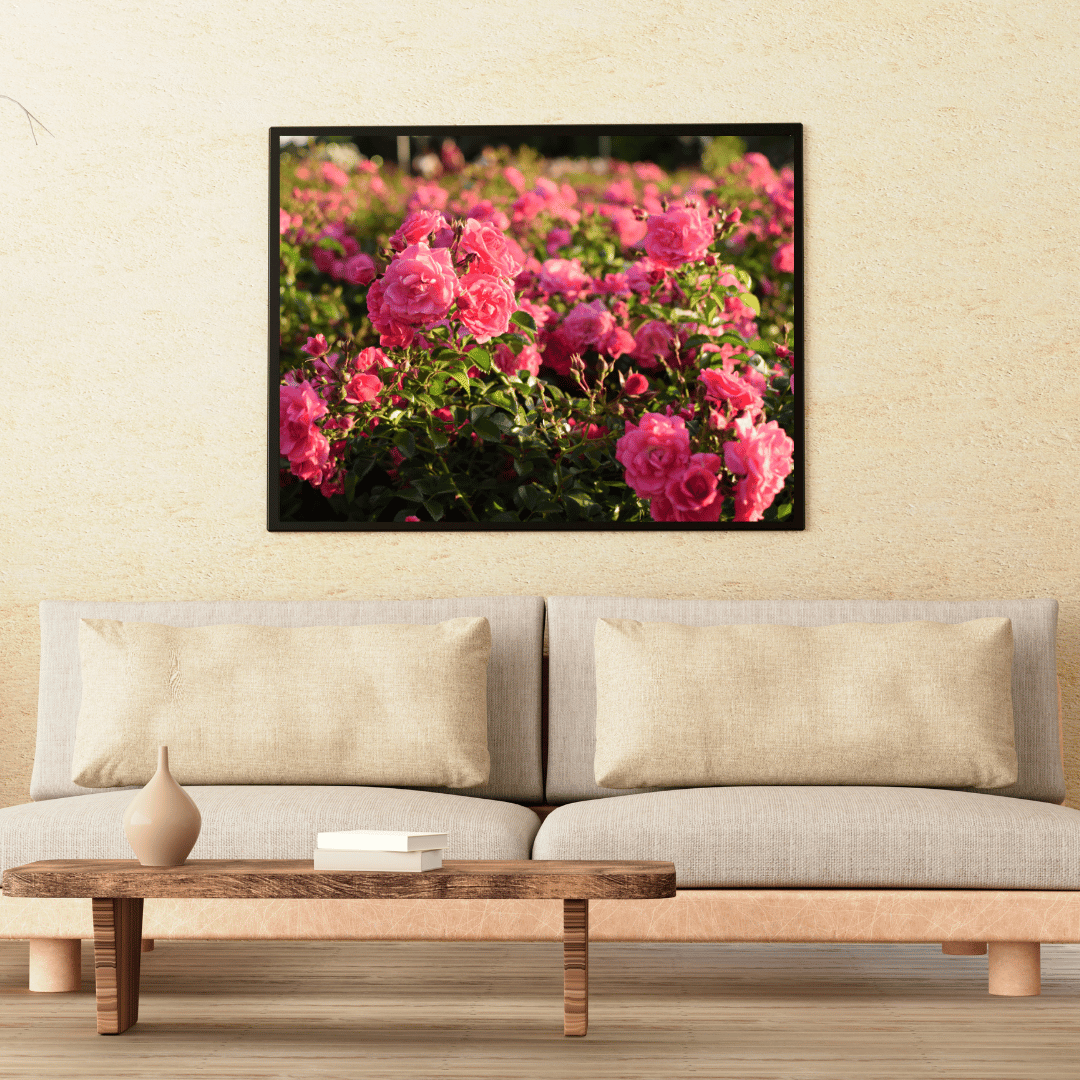 Rosy Bloom Garden HD Acrylic Photo Print
