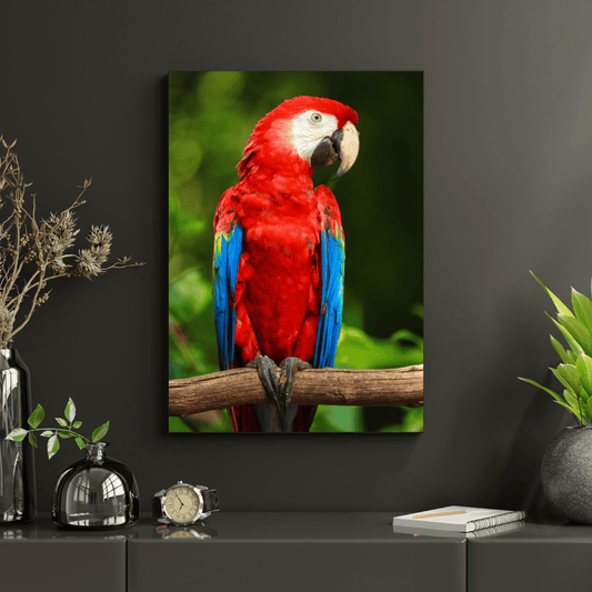 Tropical Majesty: Scarlet Macaw HD Acrylic Photo Print
