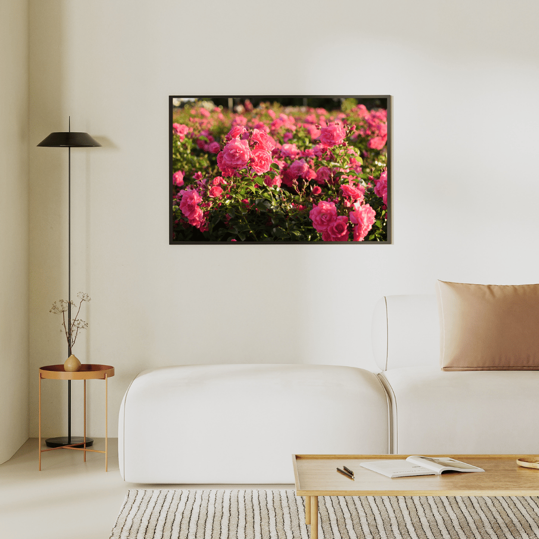 Rosy Bloom Garden HD Acrylic Photo Print