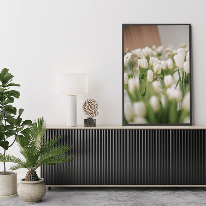 Whispers of White Tulips HD Acrylic Photo Print