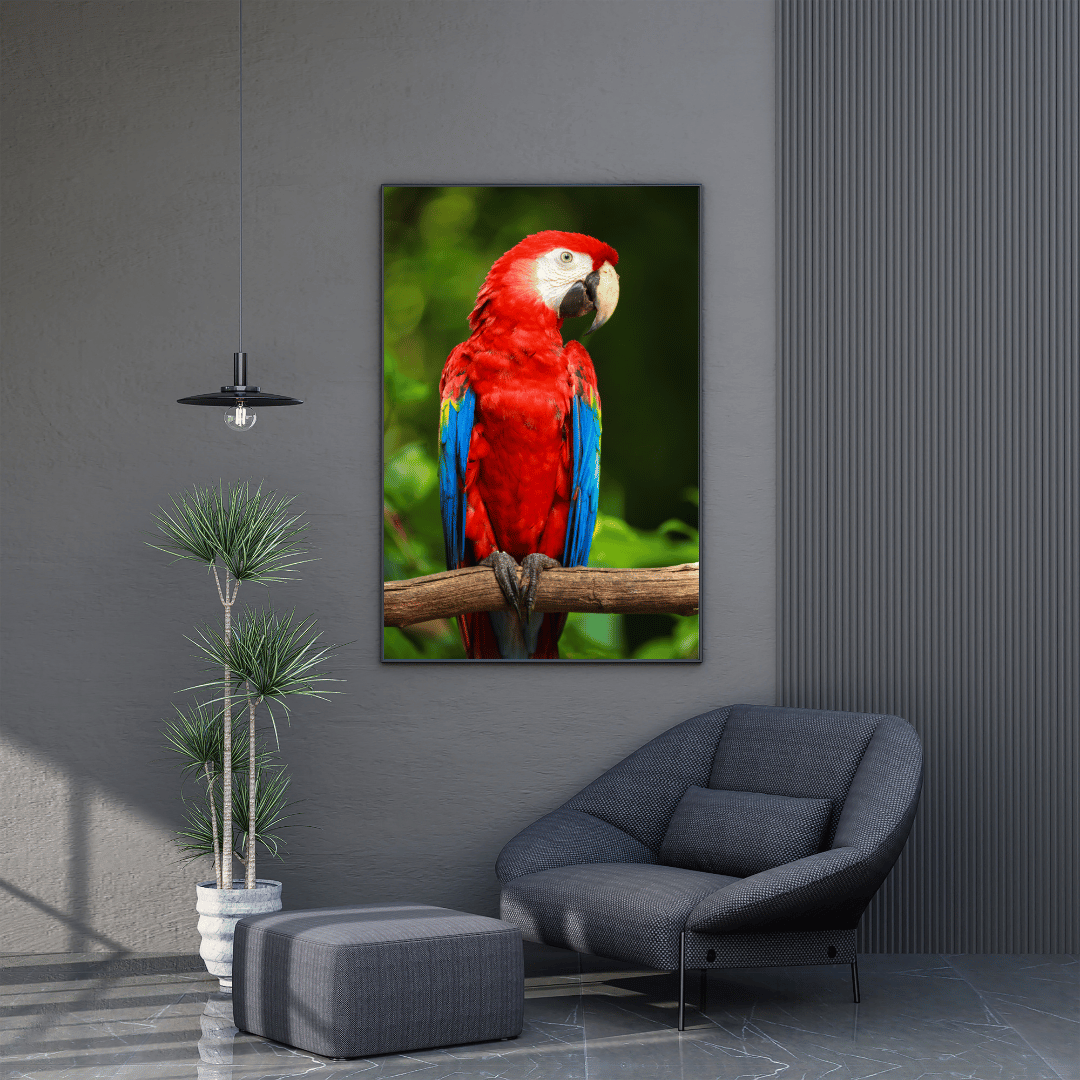 Tropical Majesty: Scarlet Macaw HD Acrylic Photo Print