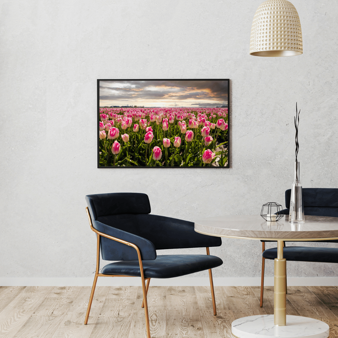 Endless Spring: Tulip Symphony HD Acrylic Photo Print