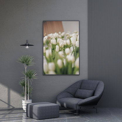 Whispers of White Tulips HD Acrylic Photo Print