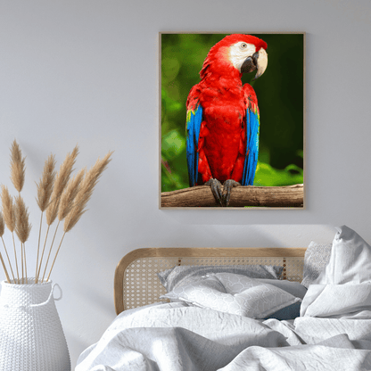 Tropical Majesty: Scarlet Macaw HD Acrylic Photo Print