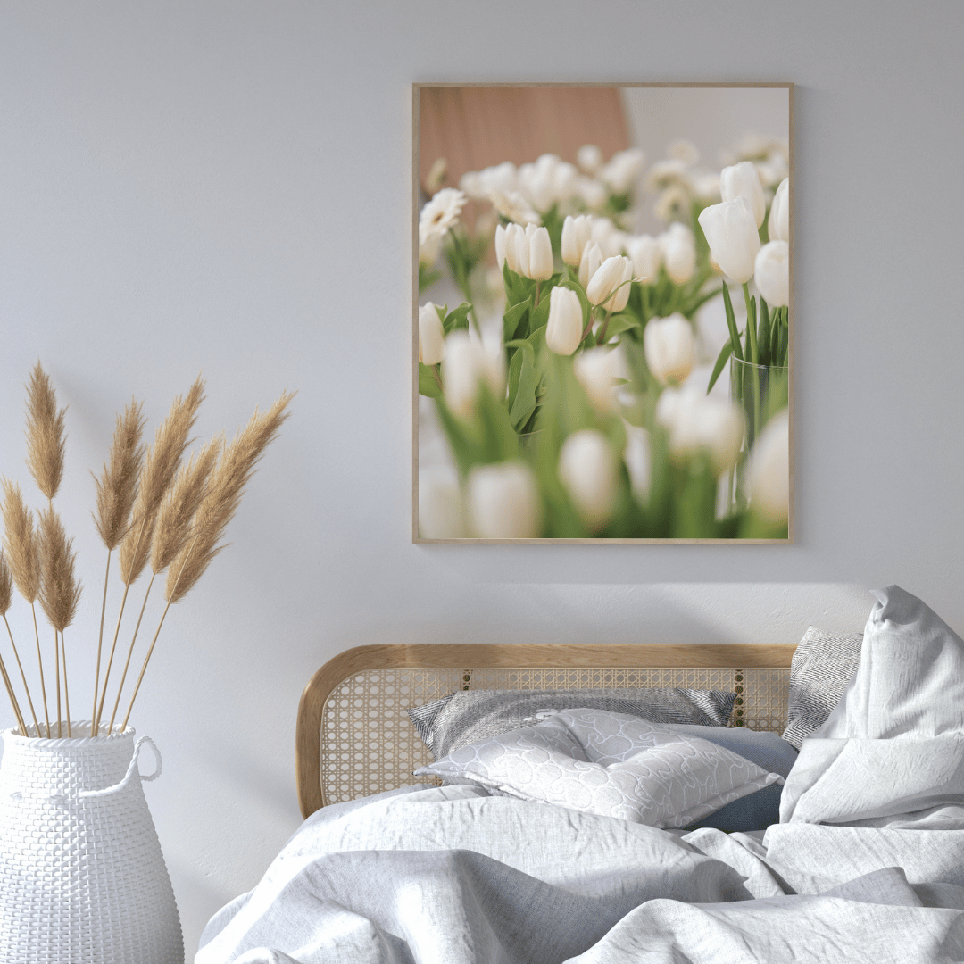 Whispers of White Tulips HD Acrylic Photo Print