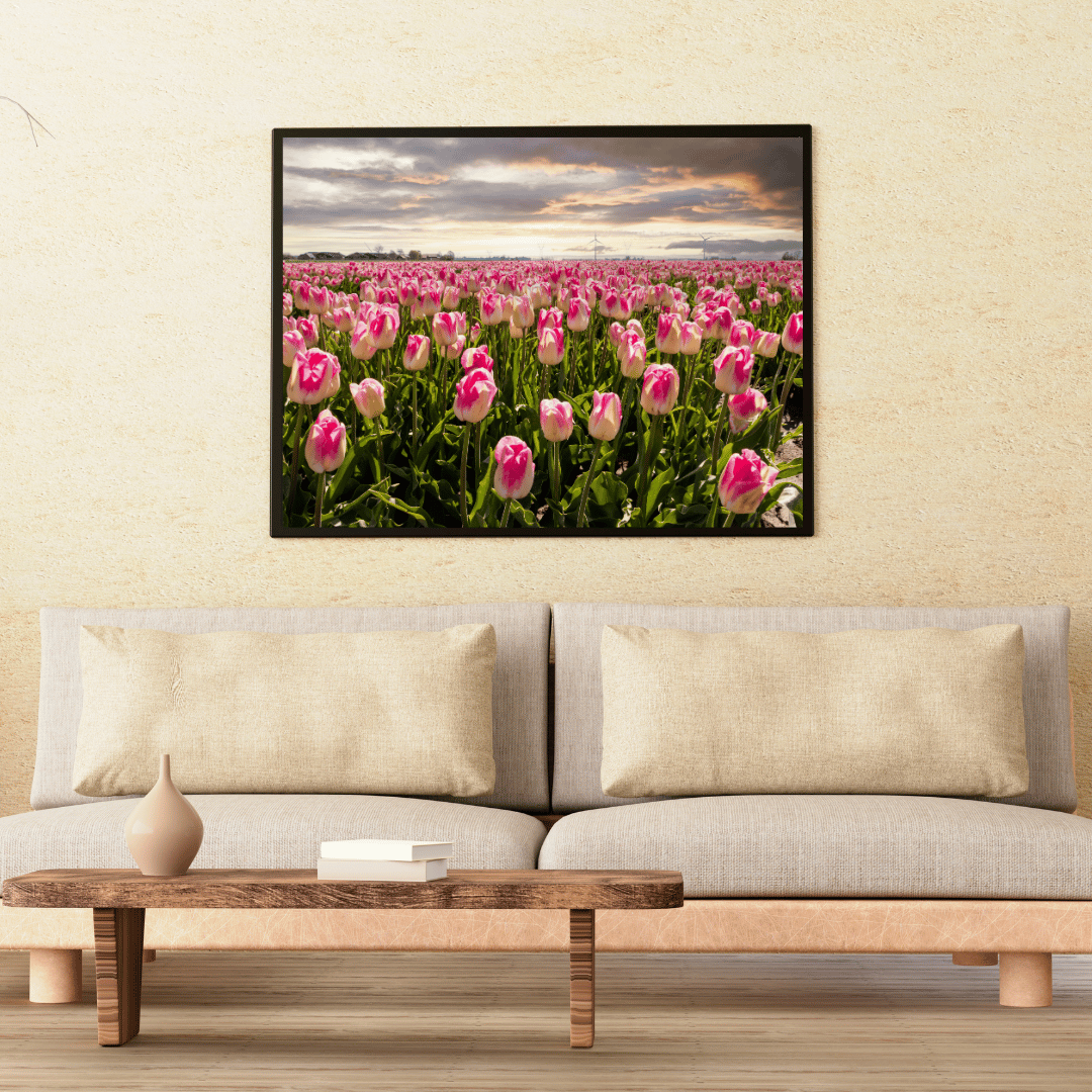 Endless Spring: Tulip Symphony HD Acrylic Photo Print