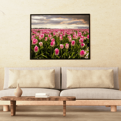 Endless Spring: Tulip Symphony HD Acrylic Photo Print