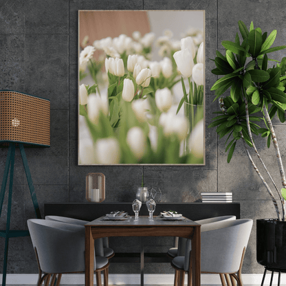 Whispers of White Tulips HD Acrylic Photo Print