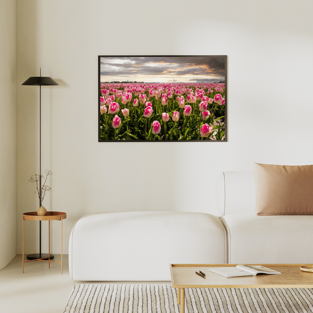 Endless Spring: Tulip Symphony HD Acrylic Photo Print