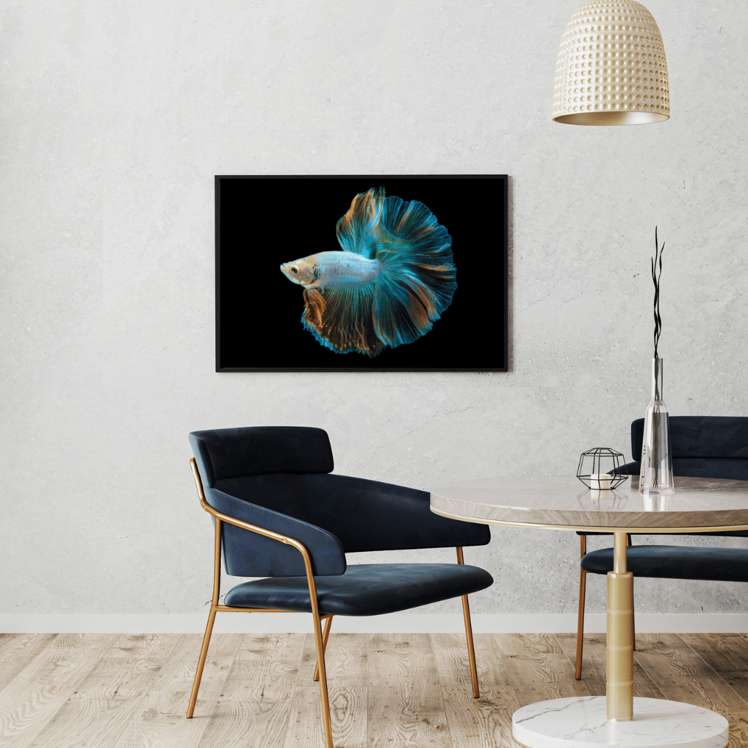 Royal Ripple: Betta Fish in Motion HD Acrylic Photo Print