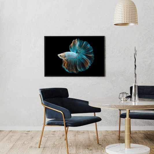 Royal Ripple: Betta Fish in Motion HD Acrylic Photo Print