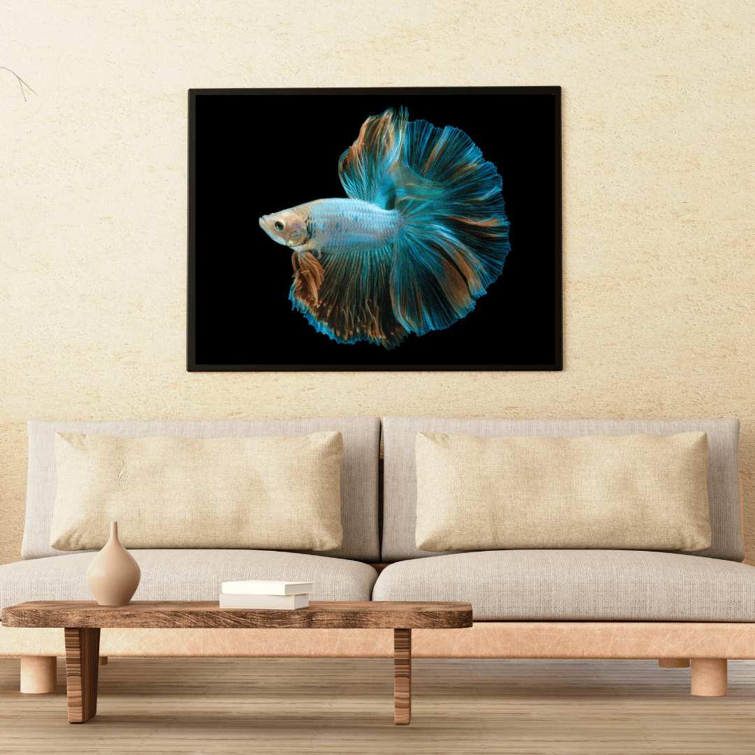 Royal Ripple: Betta Fish in Motion HD Acrylic Photo Print