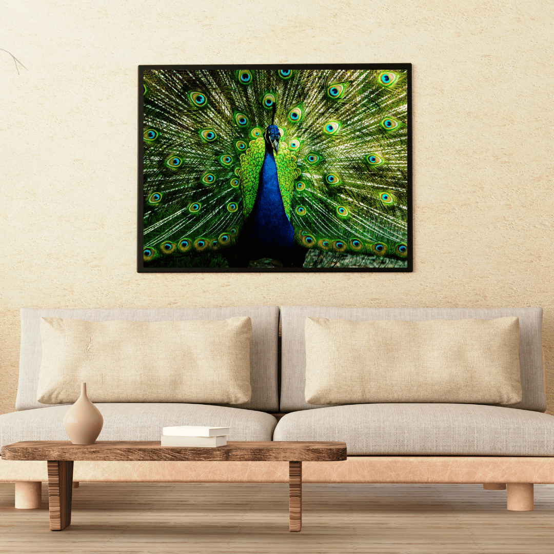 Royal Plumage: Dancing Peacock in Full Glory HD Acrylic Photo Print