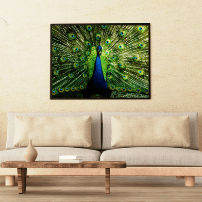 Royal Plumage: Dancing Peacock in Full Glory HD Acrylic Photo Print