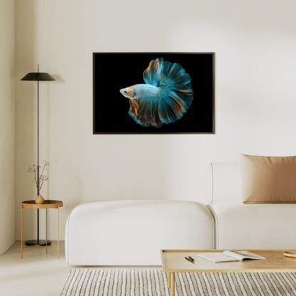 Royal Ripple: Betta Fish in Motion HD Acrylic Photo Print
