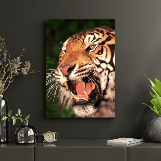 Roar of the Wild: Fierce Tiger Expression HD Acrylic Photo Print