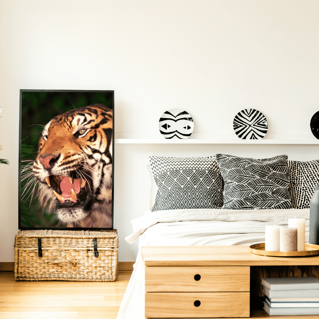 Roar of the Wild: Fierce Tiger Expression HD Acrylic Photo Print