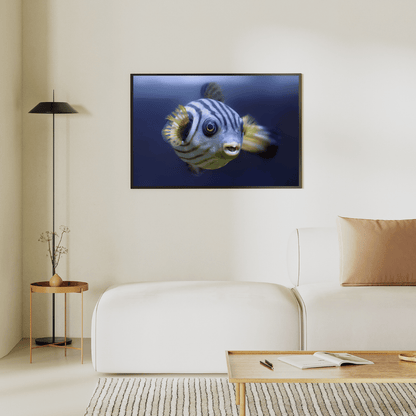 Zebra Charm: Playful Striped Fish HD Acrylic Photo Print