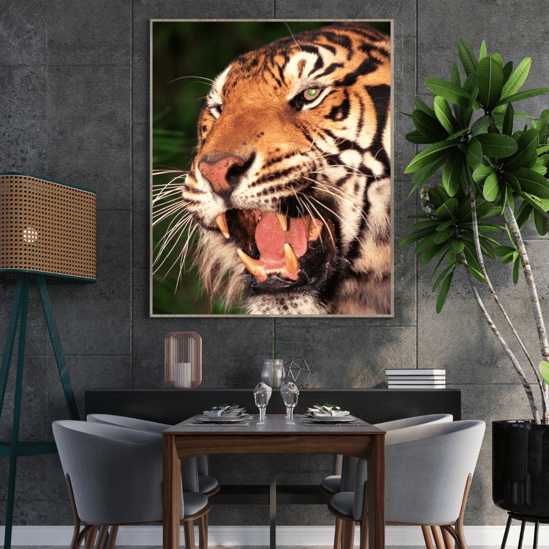 Roar of the Wild: Fierce Tiger Expression HD Acrylic Photo Print