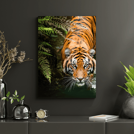 Silent Hunt: Tiger on the Prowl HD Acrylic Photo Print