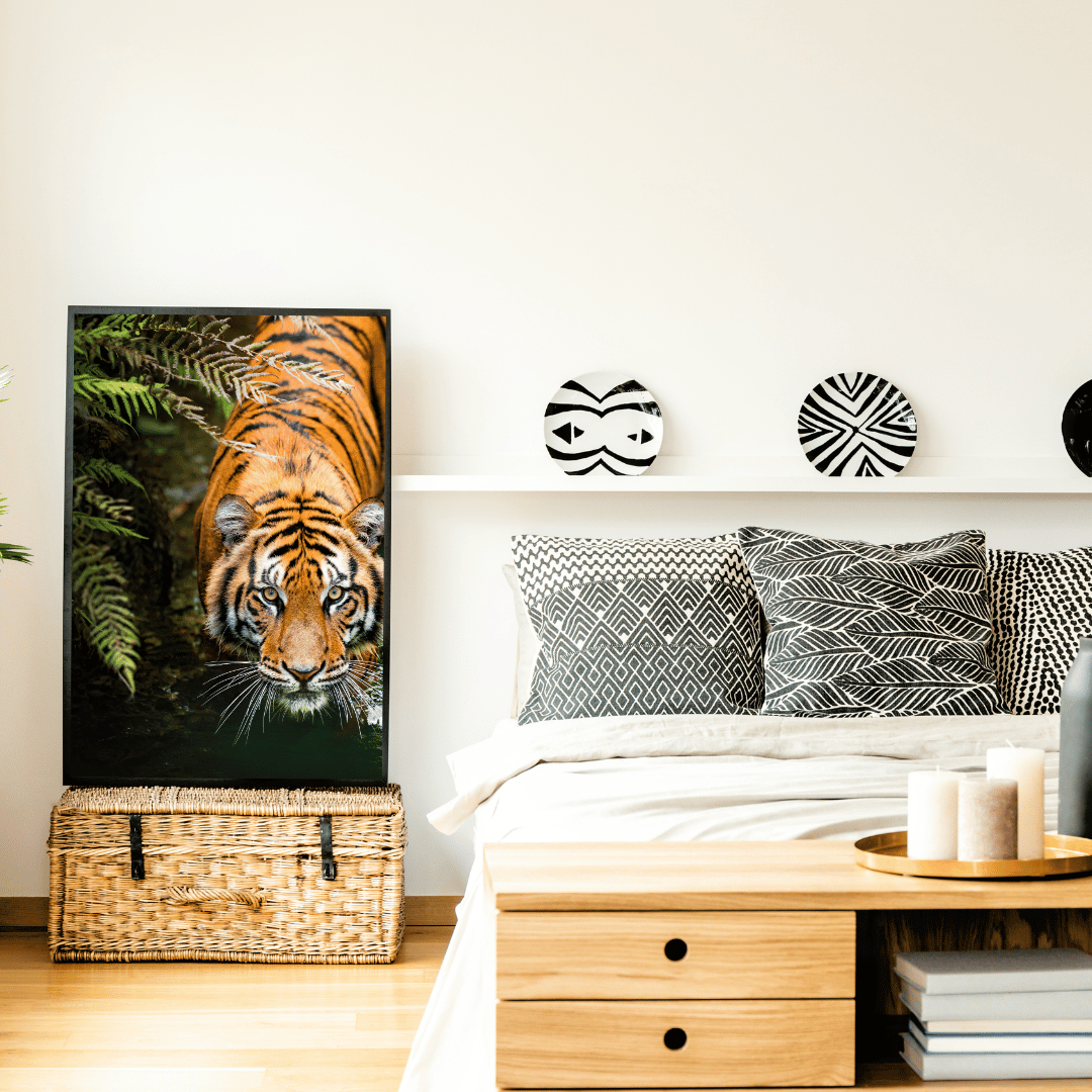 Silent Hunt: Tiger on the Prowl HD Acrylic Photo Print