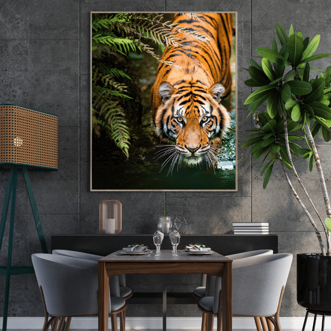 Silent Hunt: Tiger on the Prowl HD Acrylic Photo Print