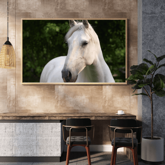 Graceful Gaze: White Stallion Serenity HD Acrylic Photo Print
