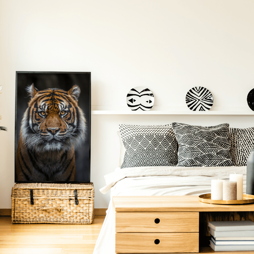 Eyes of the Wild: The Majestic Tiger HD Acrylic Photo Print