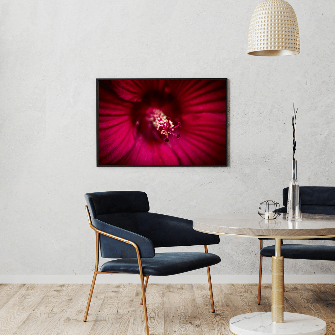 Crimson Bloom Close-Up HD Acrylic Photo Print