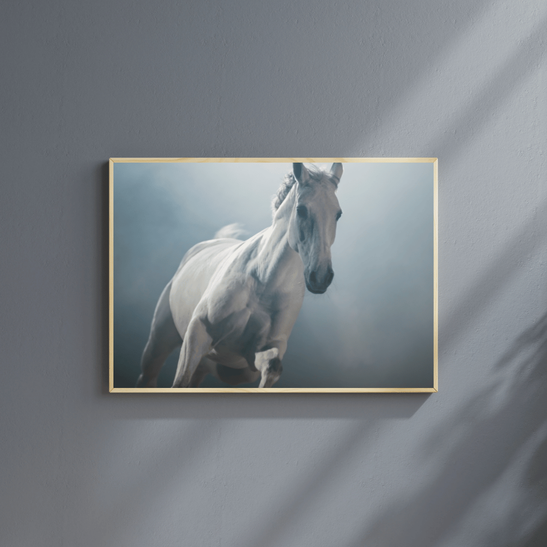 Phantom Gallop: Ethereal White Horse HD Acrylic Photo Print