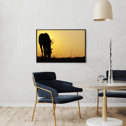 Golden Dusk: Horse Silhouette at Sunset HD Acrylic Photo Print