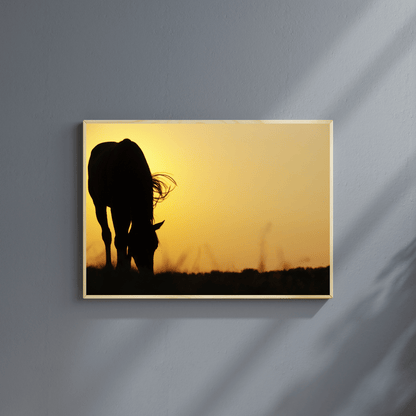 Golden Dusk: Horse Silhouette at Sunset HD Acrylic Photo Print