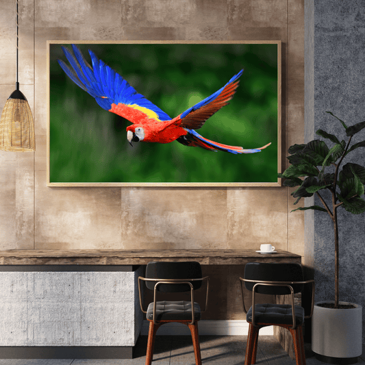 Wings of the Wild: Scarlet Macaw in Flight HD Acrylic Photo Print