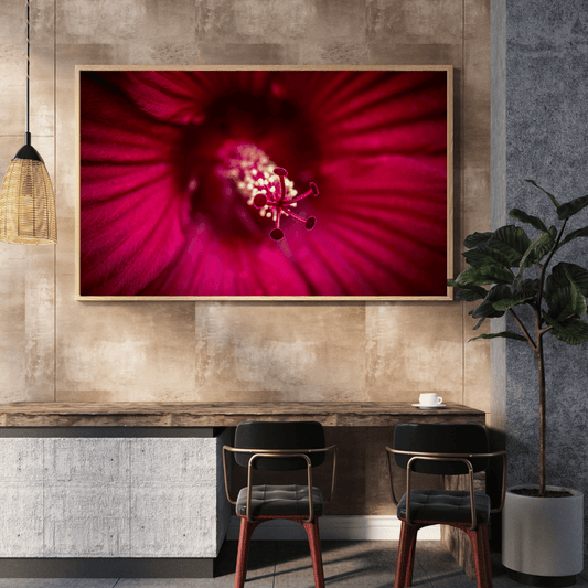 Crimson Bloom Close-Up HD Acrylic Photo Print