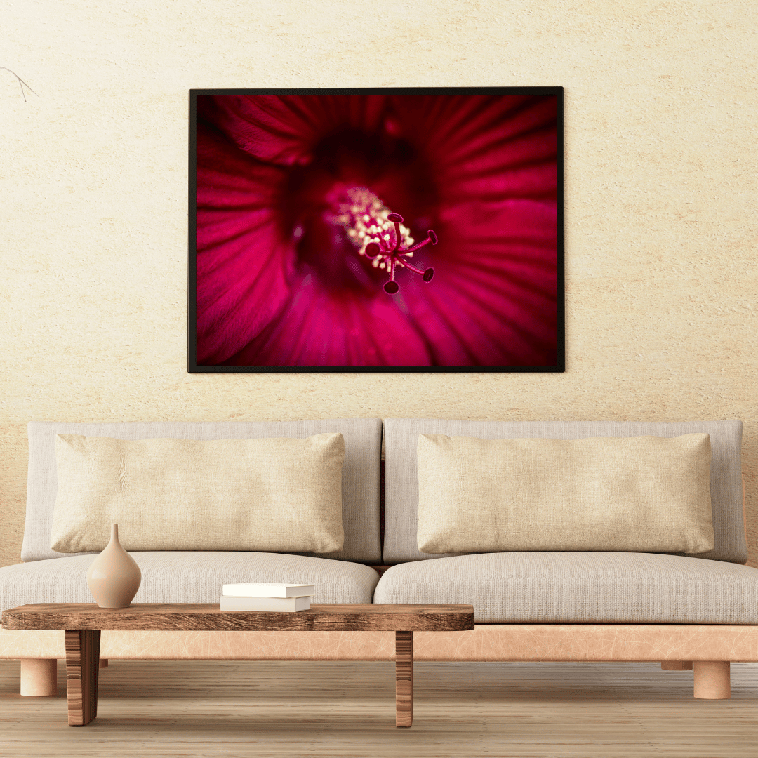 Crimson Bloom Close-Up HD Acrylic Photo Print