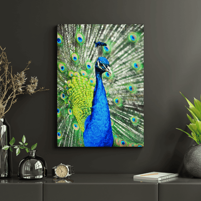Royal Pride: The Radiant Peacock HD Acrylic Photo Print