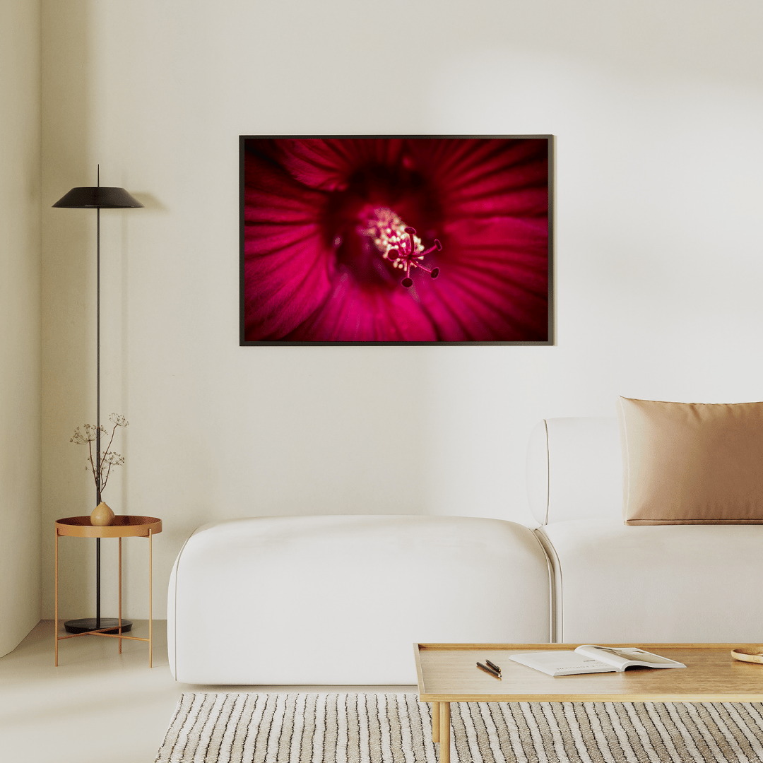 Crimson Bloom Close-Up HD Acrylic Photo Print