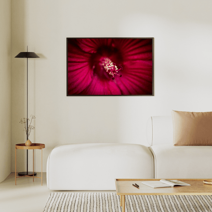 Crimson Bloom Close-Up HD Acrylic Photo Print