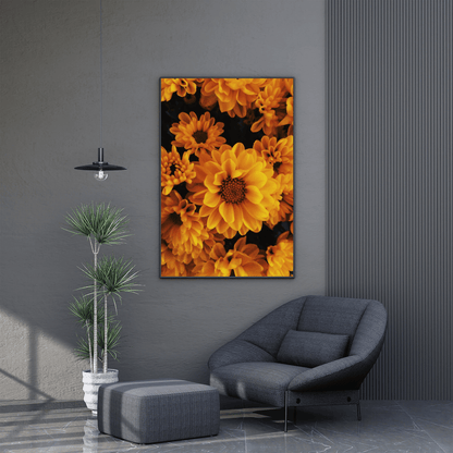 Golden Marigold Radiance HD Acrylic Photo Print