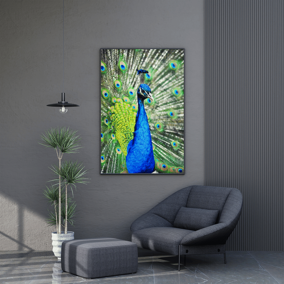 Royal Pride: The Radiant Peacock HD Acrylic Photo Print